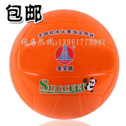 Ballon de volley-ball - Ref 2009901