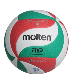 Ballon de volley-ball - Ref 2009930