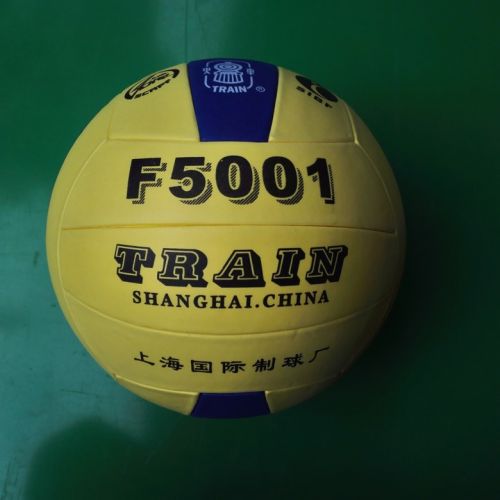 Ballon de volley-ball - Ref 2009999