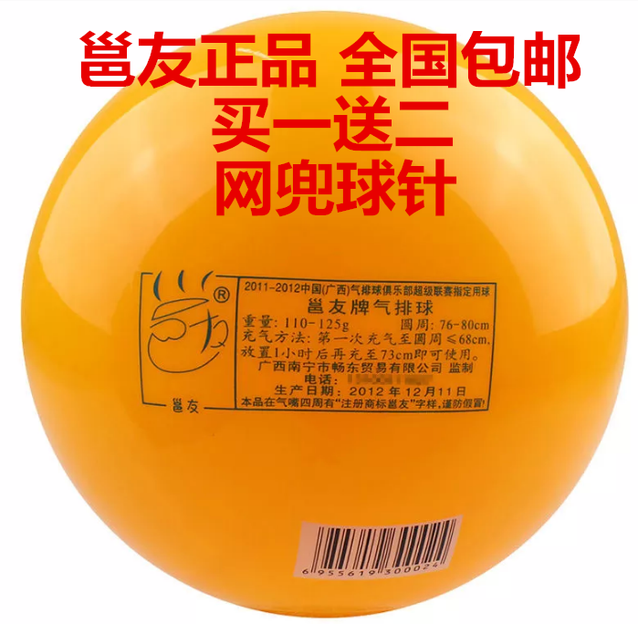 Ballon de volley-ball - Ref 2010015