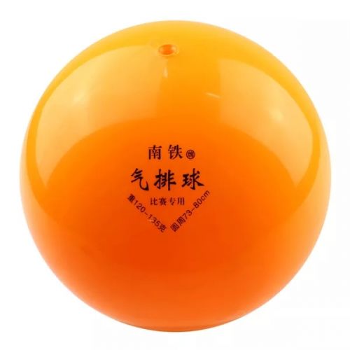 Ballon de volley-ball - Ref 2010022