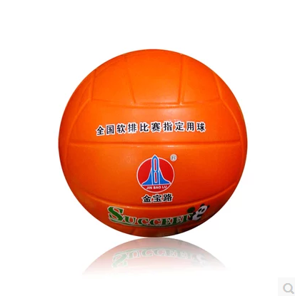 Ballon de volley-ball - Ref 2010031