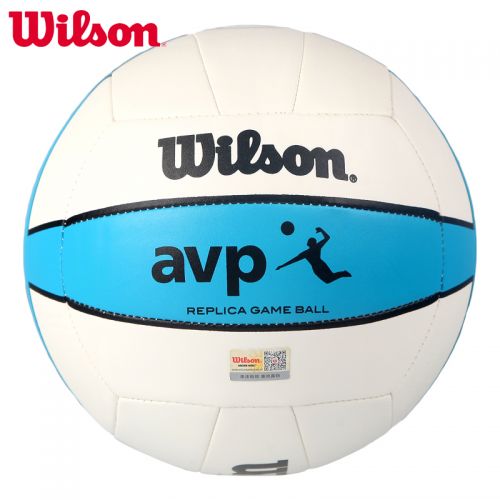 Ballon de volley ball 2010034