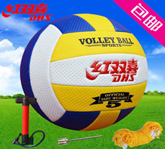 Ballon de volley-ball - Ref 2010065