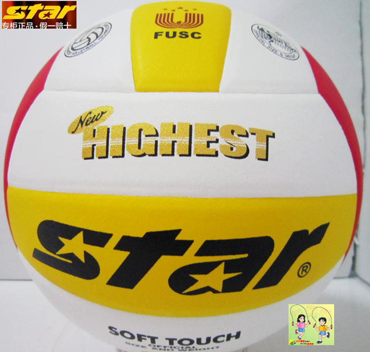 Ballon de volley-ball STAR - Ref 2010071
