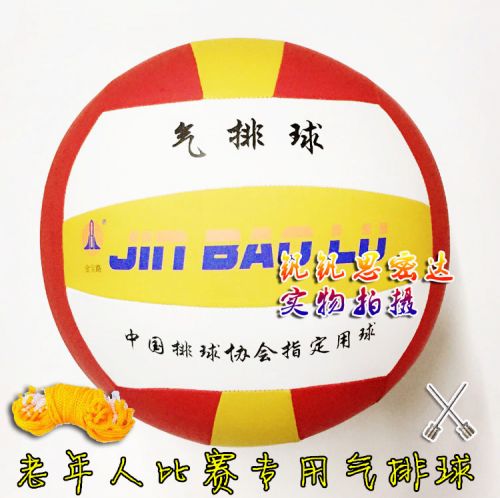 Ballon de volley-ball - Ref 2010112