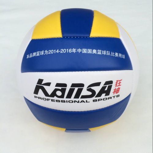 Ballon de volley-ball - Ref 2010115