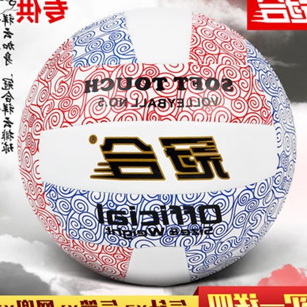 Ballon de volley-ball - Ref 2010149