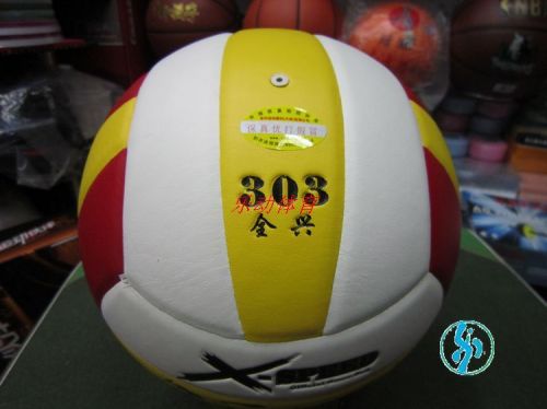 Ballon de volley-ball - Ref 2010152