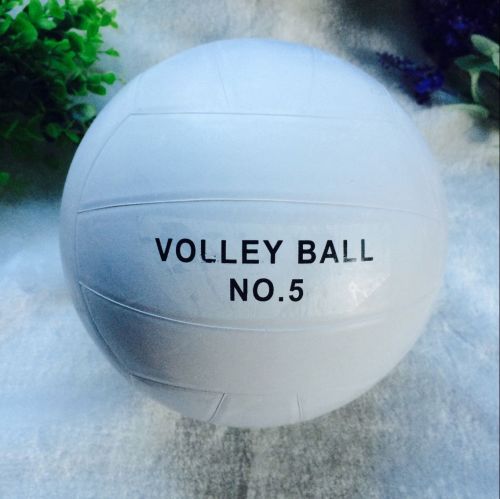 Ballon de volley-ball - Ref 2010180
