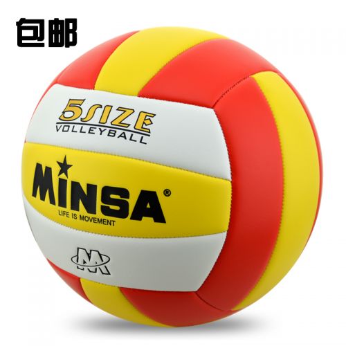 Ballon de volley-ball MINSA - Ref 2010189