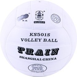 Ballon de volley-ball TRAIN - Ref 2010201