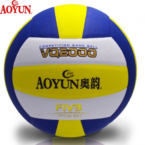 Ballon de volley-ball - Ref 2010206