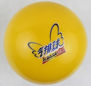 Ballon de volley-ball - Ref 2010212