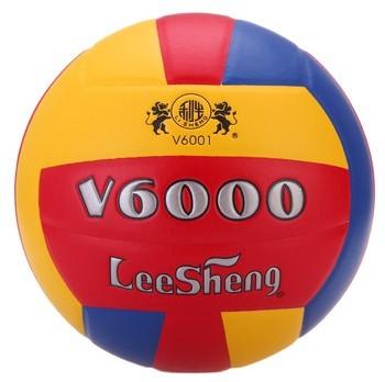 Ballon de volley-ball - Ref 2010217