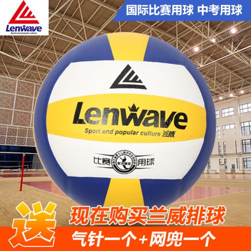 Ballon de volley-ball - Ref 2010226