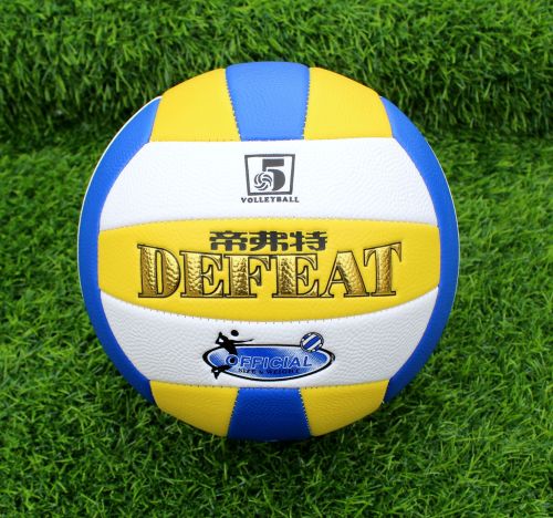 Ballon de volley-ball - Ref 2010261