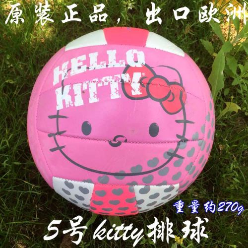 Ballon de volley-ball - Ref 2010297