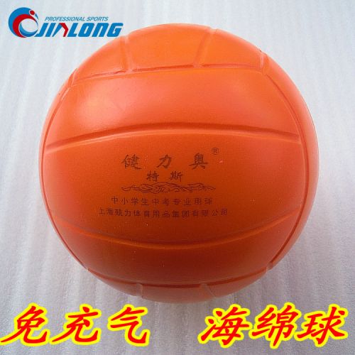 Ballon de volley-ball - Ref 2010305