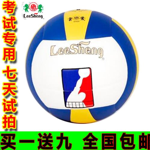 Ballon de volley-ball - Ref 2010306
