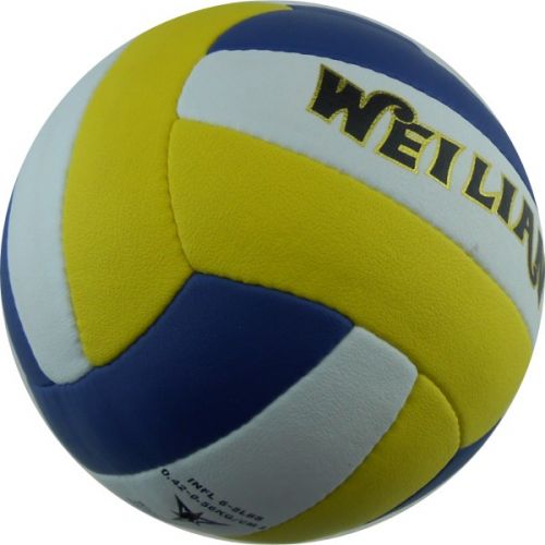 Ballon de volley-ball - Ref 2010325