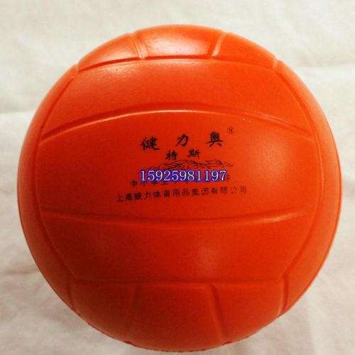 Ballon de volley-ball - Ref 2010342