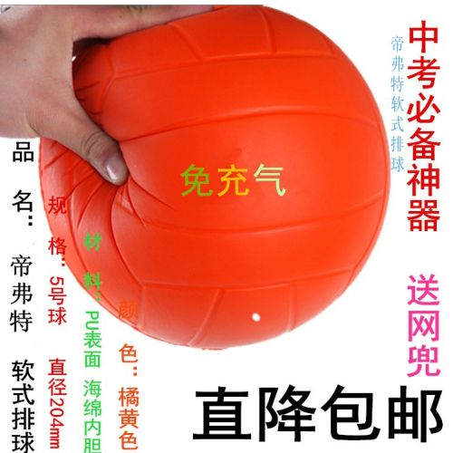 Ballon de volley-ball - Ref 2010352