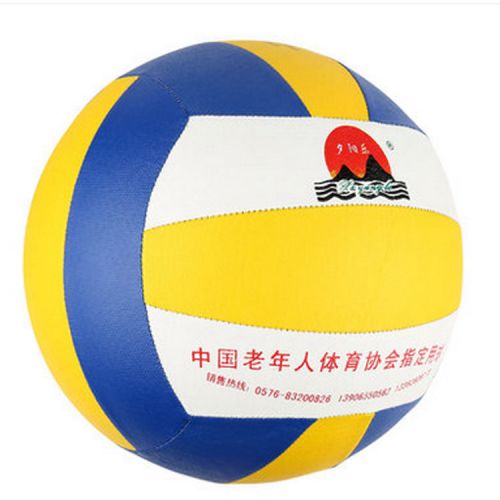 Ballon de volley-ball - Ref 2010361