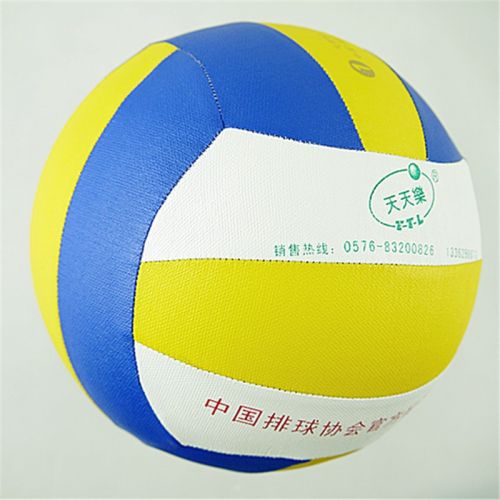 Ballon de volley-ball - Ref 2010363