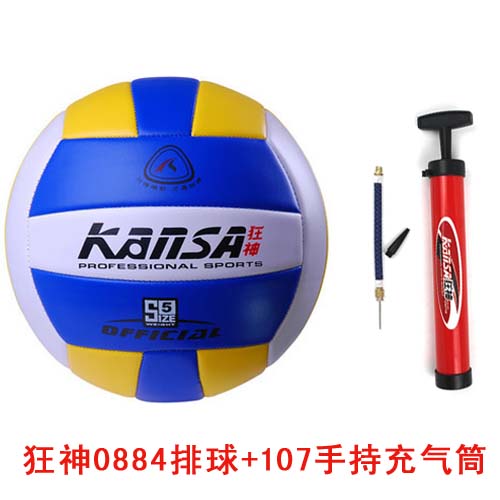 Ballon de volley-ball - Ref 2010387