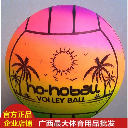 Ballon de volley-ball - Ref 2010398
