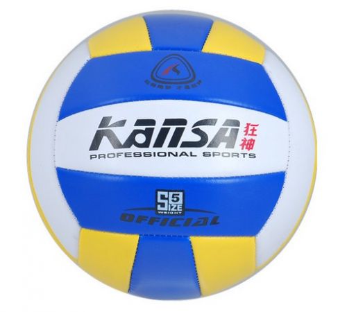 Ballon de volley-ball - Ref 2010400