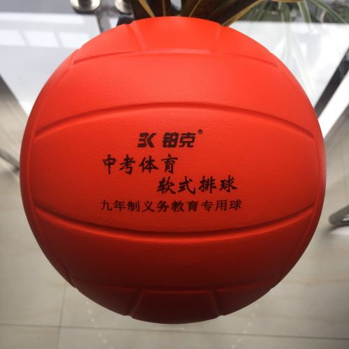 Ballon de volley-ball - Ref 2010402
