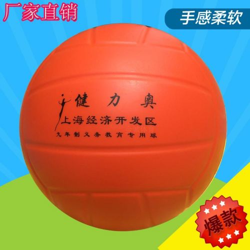 Ballon de volley-ball - Ref 2010414