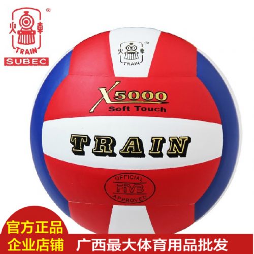 Ballon de volley-ball - Ref 2010424