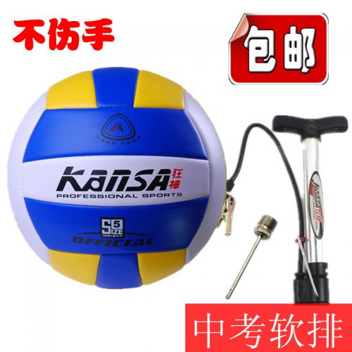 Ballon de volley-ball - Ref 2010438