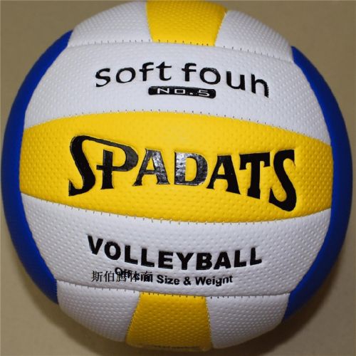 Ballon de volley-ball - Ref 2010464