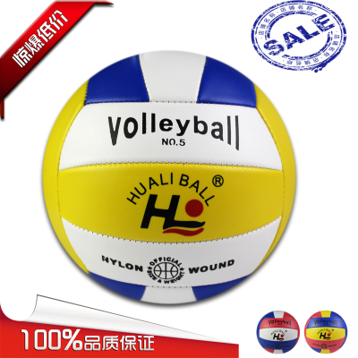 Ballon de volley-ball - Ref 2010500