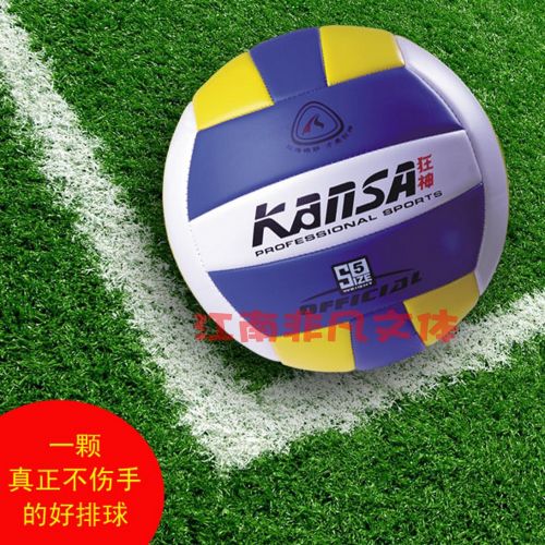 Ballon de volley-ball - Ref 2010510