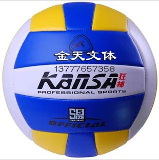 Ballon de volley-ball - Ref 2010523