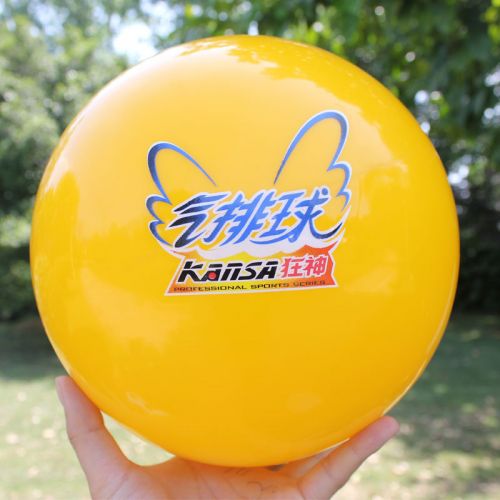 Ballon de volley-ball - Ref 2010529