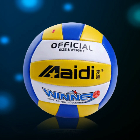 Ballon de volley-ball - Ref 2010540