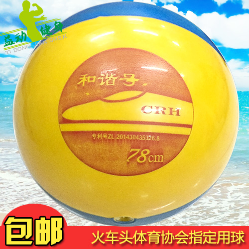 Ballon de volley-ball - Ref 2010577