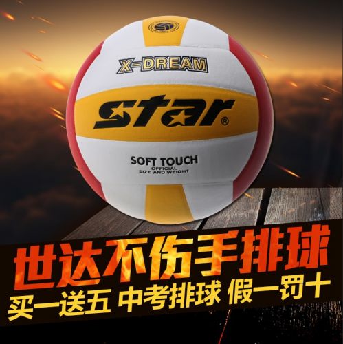 Ballon de volley-ball STAR - Ref 2010587