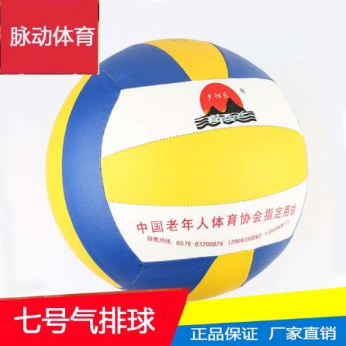 Ballon de volley-ball - Ref 2010629