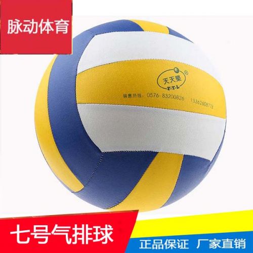Ballon de volley-ball - Ref 2010660
