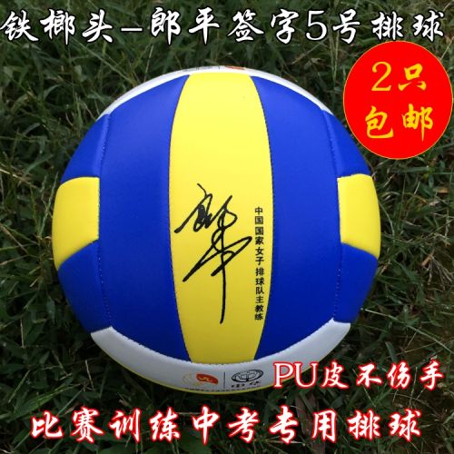 Ballon de volley-ball BOAR - Ref 2010661