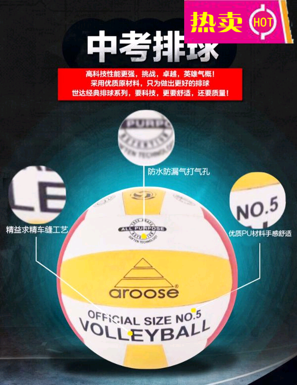 Ballon de volley-ball STAR - Ref 2010693