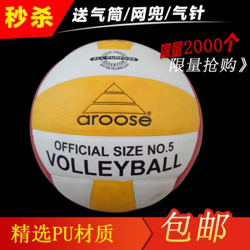 Ballon de volley-ball - Ref 2010709