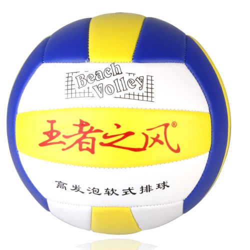 Ballon de volley-ball - Ref 2010764